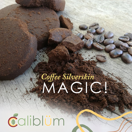 Revitalize Your Skin with Coffee Silverskin Magic! ☕✨