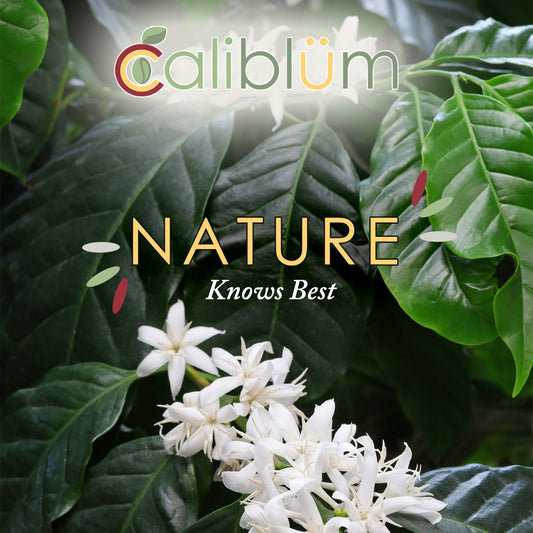 Nature Knows Best